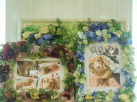 那珂市愛犬mocaちゃん