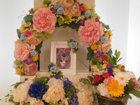 日立市愛犬ちょろちゃん