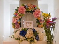 水戸市ハムスターももくん