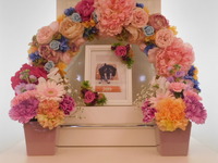 鉾田市愛犬ジェームスちゃん