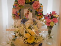 水戸市愛猫黒木アニコちゃん