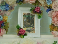 水戸市愛猫月海ちゃん