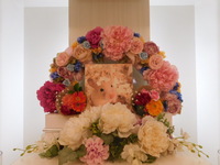 水戸市ハムスターきなこもちちゃん