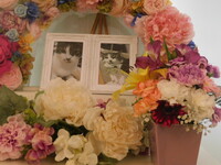 那珂市愛猫かん太ちゃん