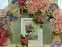 ひたちなか市愛犬チョコちゃん