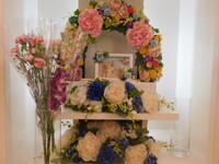 水戸市愛犬みみこちゃん