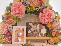 常陸太田市ハムスター・ハムちゃん