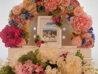 笠間市愛犬ララちゃん