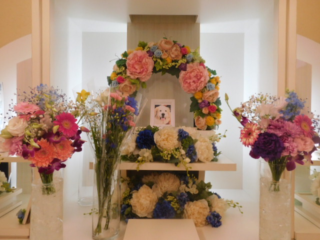 DSCN5720.JPG