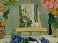 茨城町愛犬ぴーすけちゃん