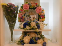 常陸太田市愛犬ジュリちゃん