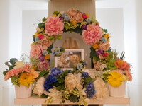 水戸市愛犬メルちゃん