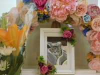 日立市愛猫小鈴ちゃん