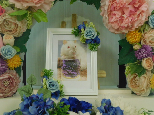 DSCN5881.JPG