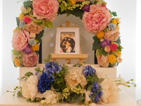 鉾田市愛犬レオンちゃん