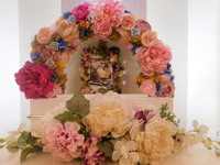 水戸市愛猫チュウちゃん