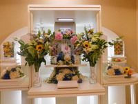 水戸市愛犬プクちゃん