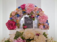 水戸市愛猫ココちゃん