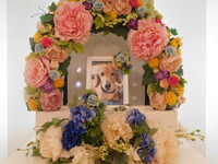 茨城町愛犬チロちゃん