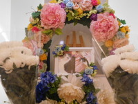 那珂市愛猫ふーたちゃん