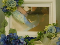 水戸市愛猫レオちゃん