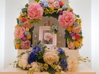 水戸市ハムスターはかちゃん