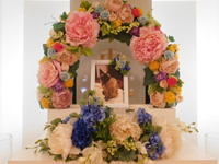 水戸市愛猫レナちゃん