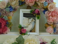 水戸市愛猫チロちゃん