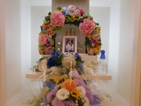 日立市愛犬アレックスちゃん