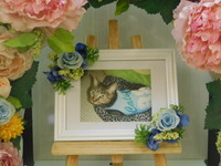 水戸市愛猫モコちゃん