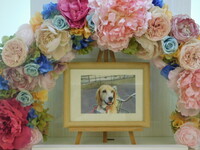 水戸市愛犬ラミちゃん