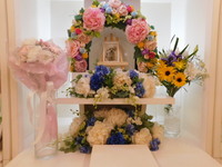 水戸市愛犬チョコちゃん