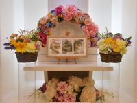 常陸大宮市愛猫虎太郎ちゃん