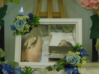 水戸市ラプ助ちゃん