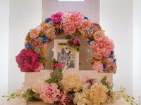 日立市愛犬ロックちゃん