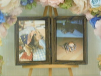 水戸市愛犬ジャックちゃん