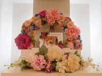 水戸市愛犬シジミちゃん