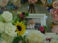 常陸太田市愛兎モカちゃん