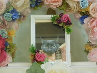 水戸市愛猫ルウちゃん