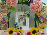 水戸市愛猫ぺろちゃん