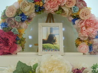 水戸市愛犬ボーボちゃん