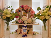 水戸市愛犬マックスちゃん