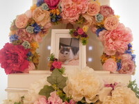 水戸市愛猫うめちゃん