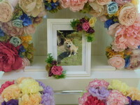 常陸大宮市愛犬びびちゃん