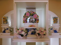 ひたちなか市愛猫チャビちゃん