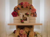 水戸市愛猫シンザちゃん