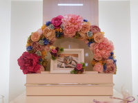 常陸大宮市愛猫ヒジちゃん