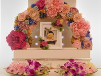 常陸太田市愛猫ししゃもちゃん