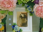 ひたちなか市愛犬アルちゃん