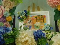 城里町愛犬ポメたん